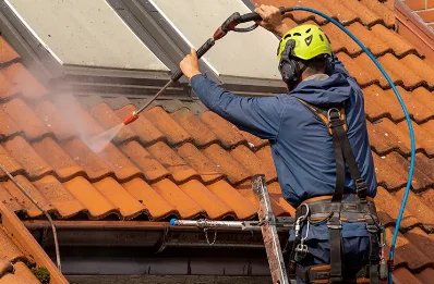 Démoussage et hydrofuge de toiture à Moiremont